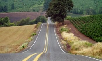 Driving Across United States 2: Tips for Beginners and Foreign Drivers