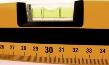 Selective Perception