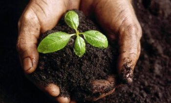 Dealing with life changes