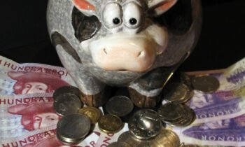 Tips for saving money: Work smarter not harder