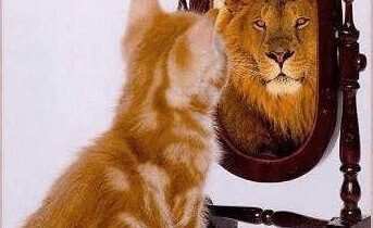 Selective Perception: Is it reality or flawed opinion