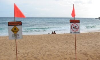 Hawaiian Adventures 3: Enjoying Hawaii’s water and living to tell about it.