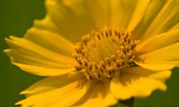 Diet and Exercise, Do we have to