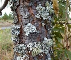 healthy realtionship