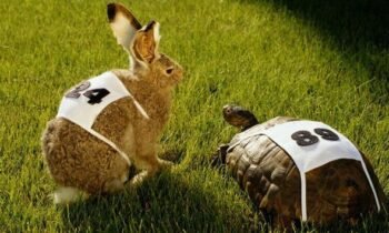 You Define Success, Not Others