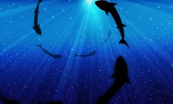 Master the Ability of Deep Work