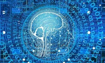 Data Management: More Than One’s and Zero’s